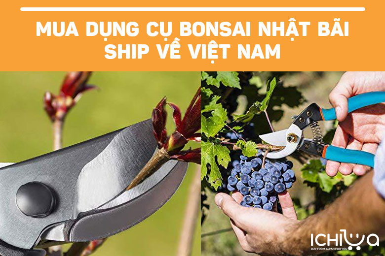 Mua dụng cụ bonsai Nhật trực tiếp từ Nhật về Việt Nam