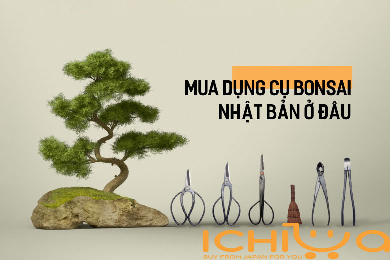 Nghệ thuật bonsai - Mua dụng cụ bonsai Nhật Bản ở đâu?