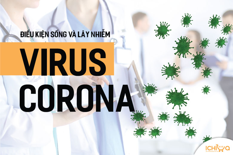 Điều kiện sống và lây nhiễm của virus Corona bạn nên biết!